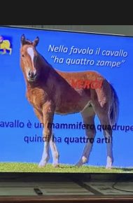 L’evoluzione del cavallo, dal progenitore ad oggi. Immagine